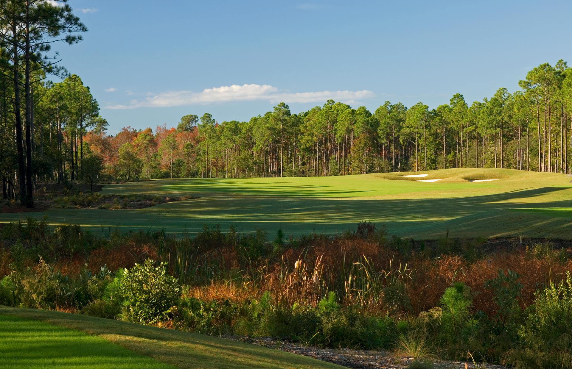 The Clubs at St. James Plantation Homepage